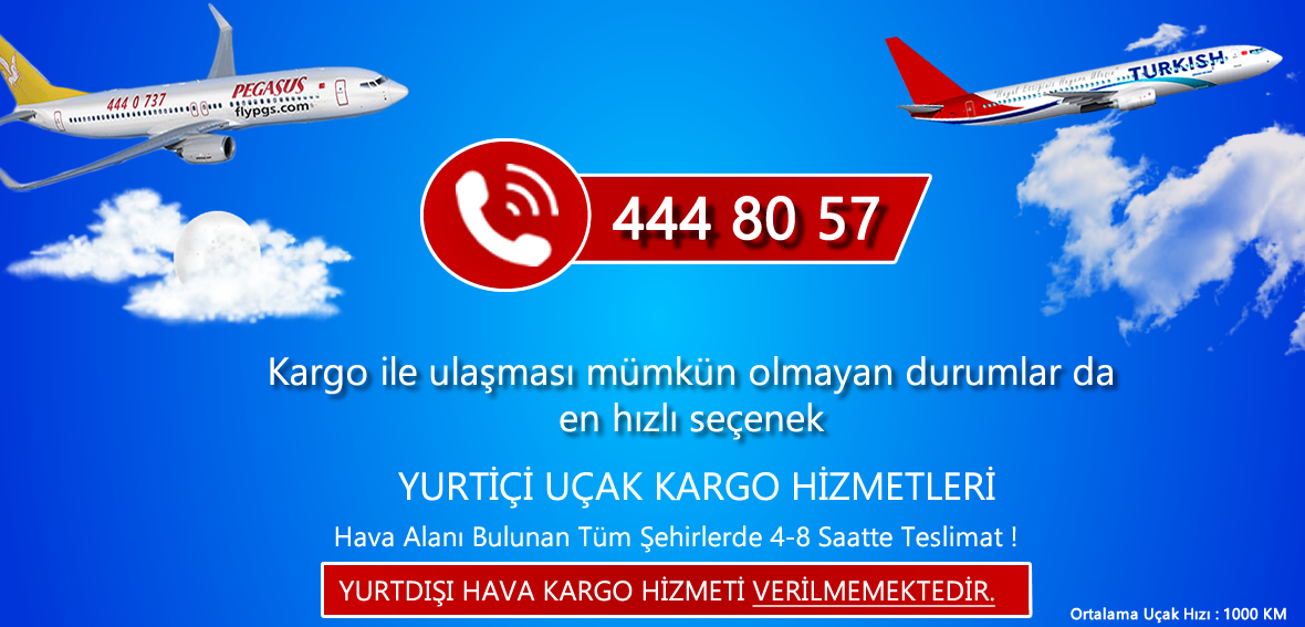 Adana Uçak Kargo Hizmetleri Thy Kargo